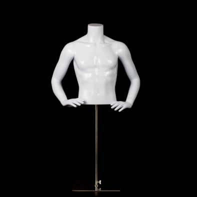 Half body male mannequin