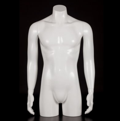 Male torso