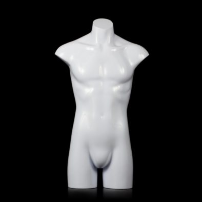 Male torso