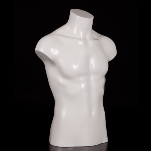 Posh Concept male mannequin bust