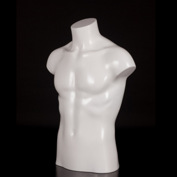 Posh Concept male mannequin bust
