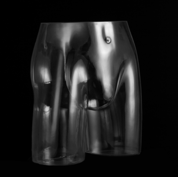 Posh Concept transparent underwear mannequin