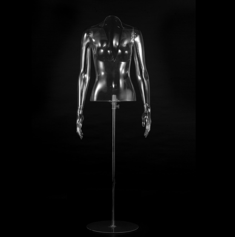 Posh Concept transparent male mannequin torso