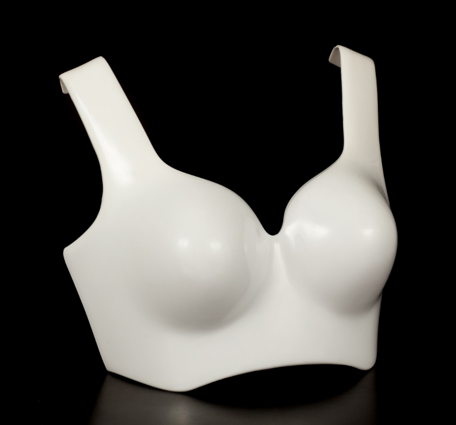 Posh Concept bra mannequin