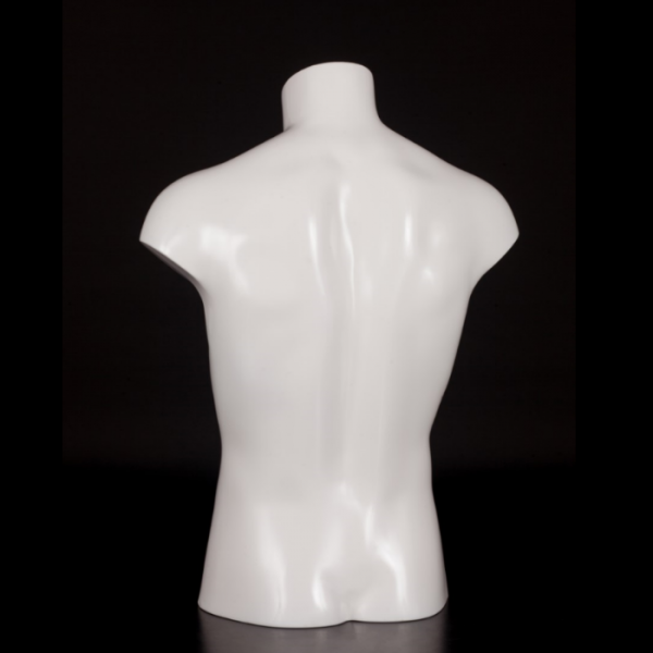 Posh Concept male mannequin bust
