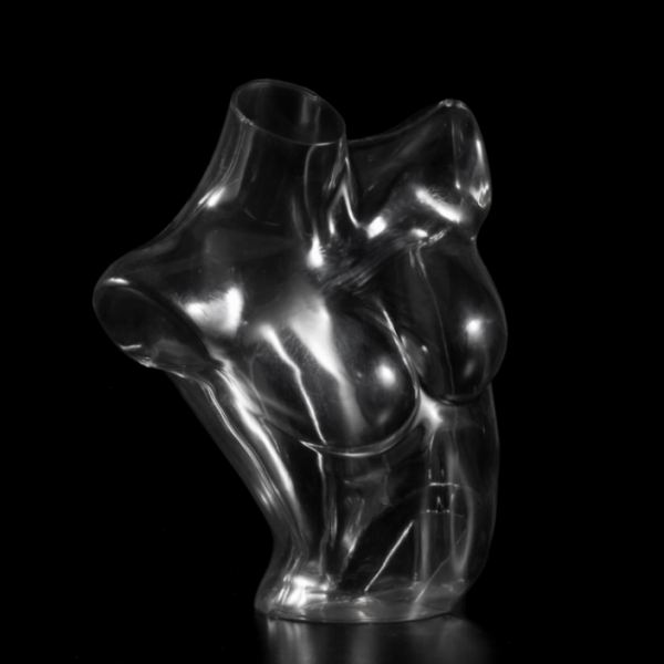 Posh Concept headless female mannequin