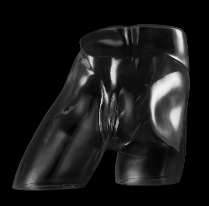 Posh Concept mannequin bust form