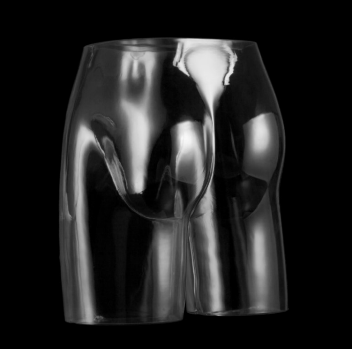 Posh Concept mannequin bust form