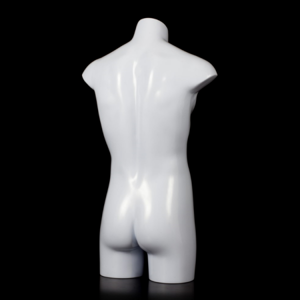 Posh Concept plastic mannequin half body