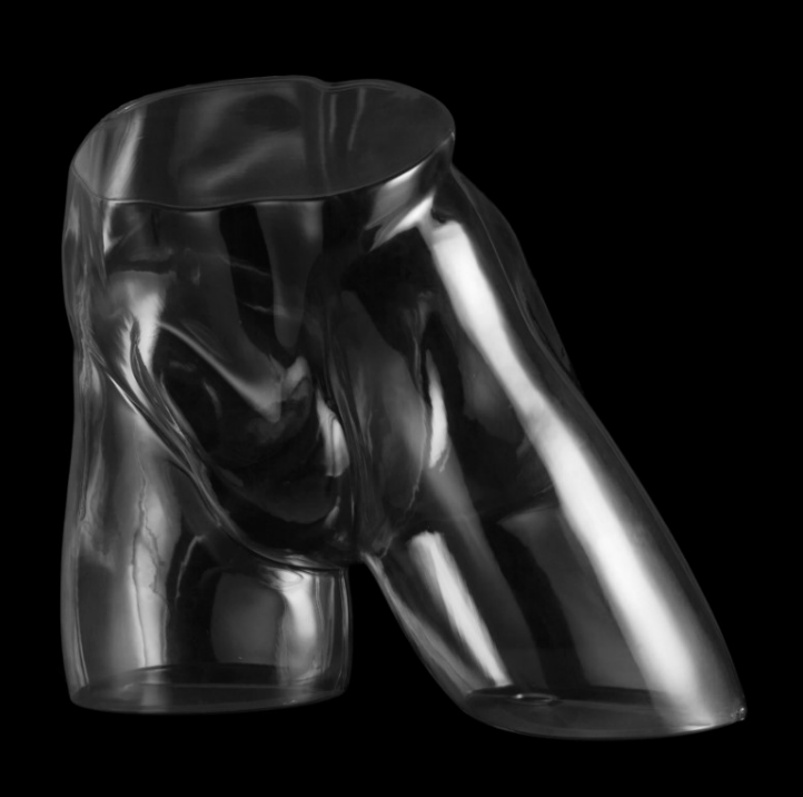 Posh Concept transparent underwear mannequin