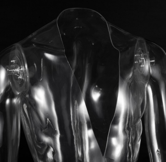 Posh Concept transparent male mannequin torso